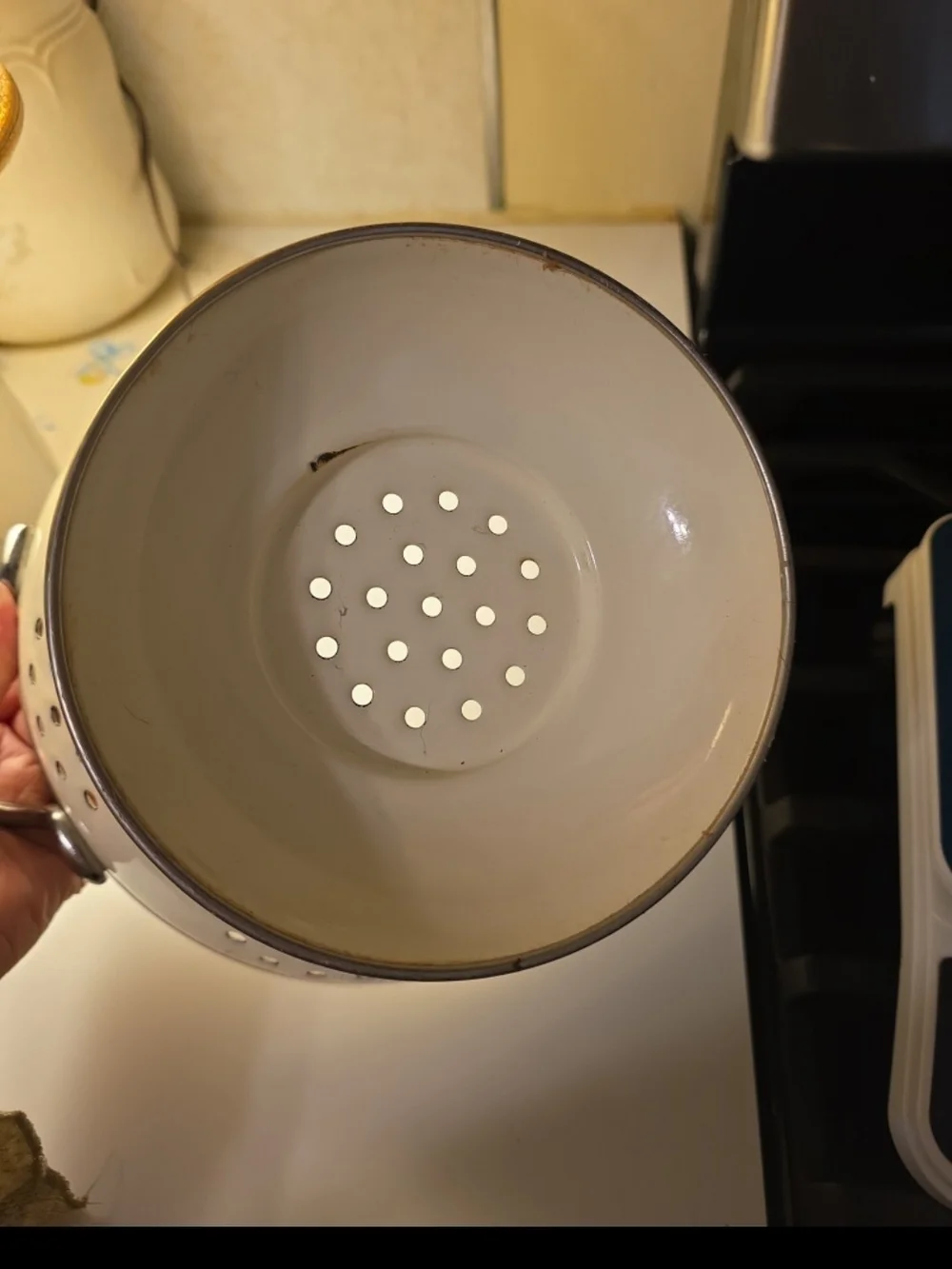Vintage Marmalade Goose Colander
